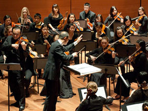 Conductor and orchestra