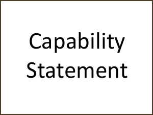 Capability statement